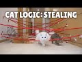 Cat Logic: Stealing | Kittisaurus