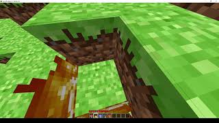 PyCraft Test 7 | Fire Test