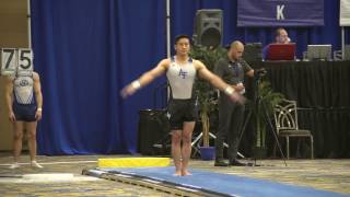 Timothy Wang - Vault - 2017 Winter Cup Prelims