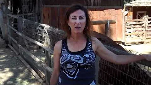 Parent Testimonial: Vicky Schwartz Thinks Rawhide ...