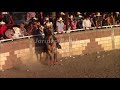 Un gran toro de rancho la gavia llamado el furioso