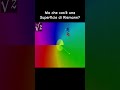 Ma che cos'è una Superficie di Riemann? E a che Serve?