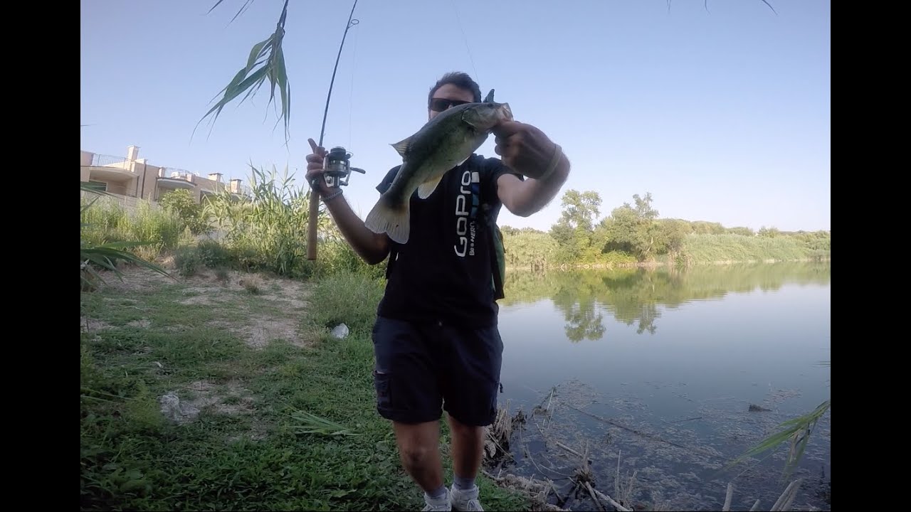Bass Fishing With Hot Dogs Bass Fishing With Hot Dogs