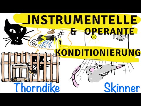 Instrumentelle & operante Konditionierung - Skinner, Thorndike und der Behaviorismus