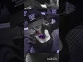 متأخرة كالعادة نرجس Blackpink اكسبلور موفكرتي احبكم وننوش Bts Kdrama نامجوني ضحك متأخرة كالعادة نرجس Blackpink اكسبلور موفكرتي احبكم وننوش Bts Kdrama نامجوني ضحك