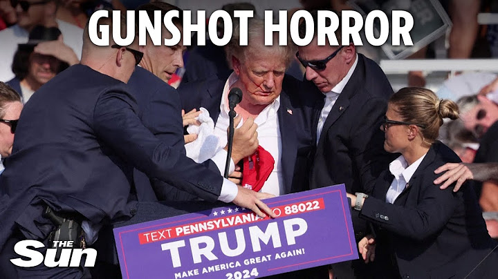 Moment Donald Trump is shot by rooftop sniper in attempted assassination bid