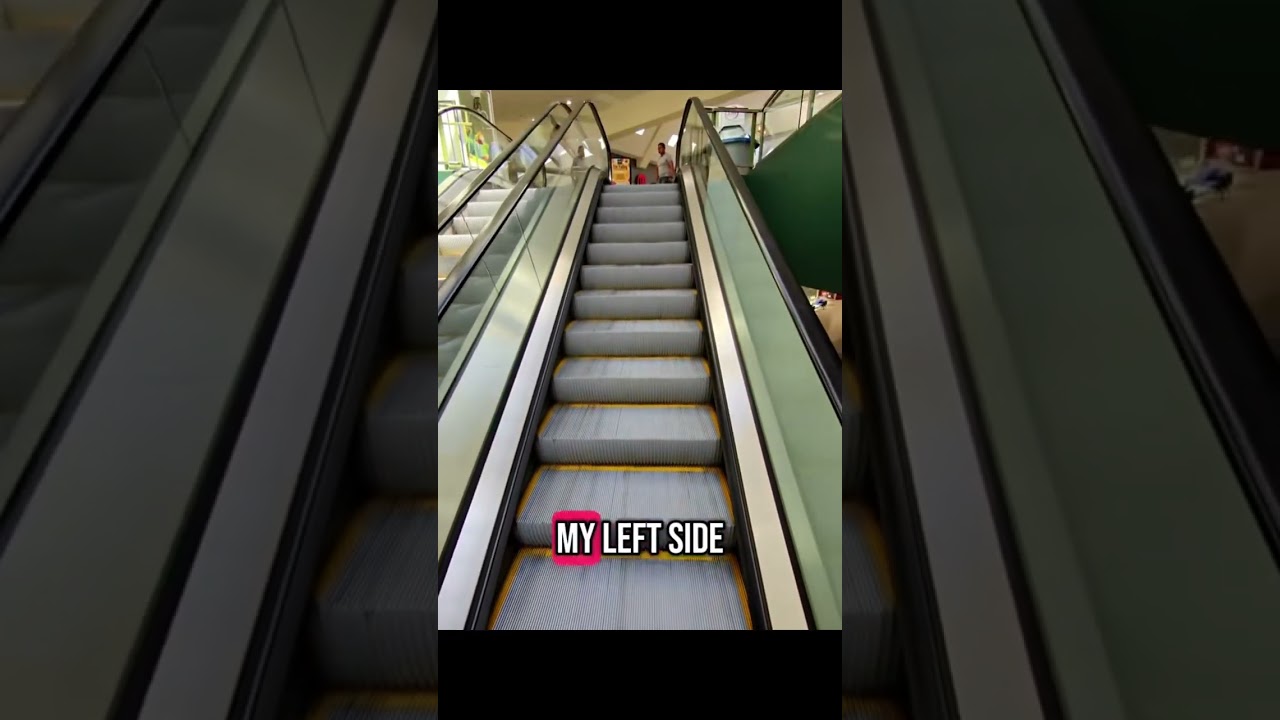 Taking my new guide dog up escalators for the first time ￼