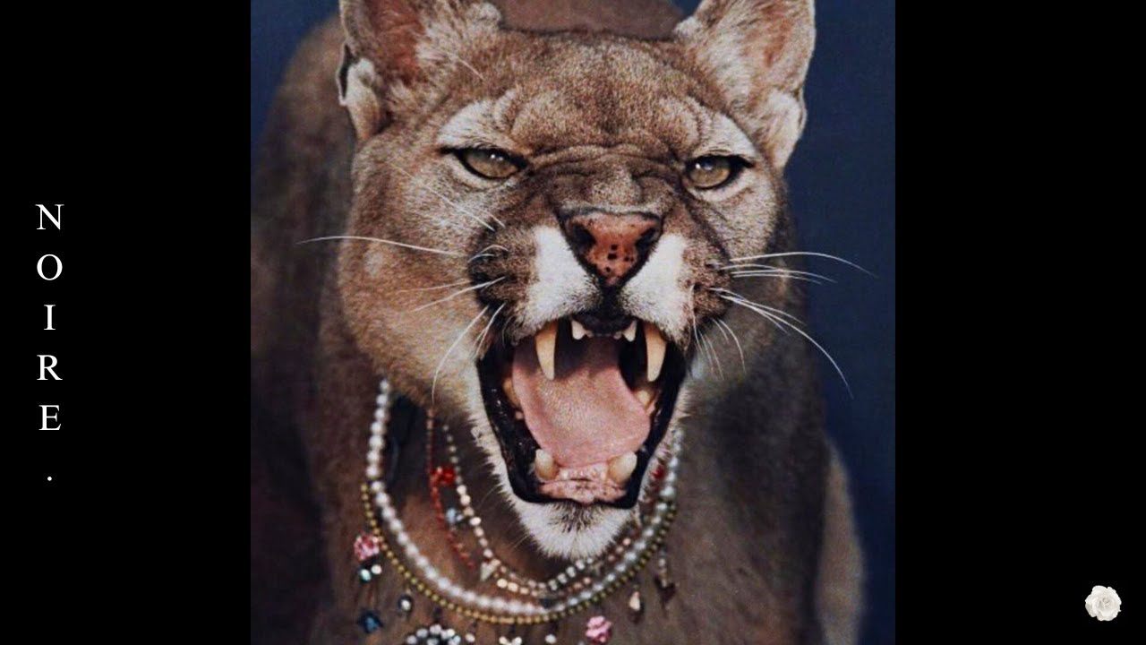 [FREE] JID TYPE BEAT - "SHMACK!"