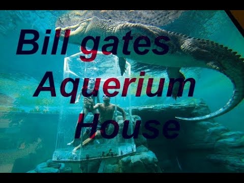 Bill Gates Aquarium House Youtube