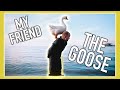 This art teacher has a special bond with a goose