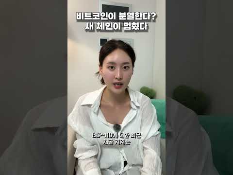 비트코인이 쪼개졌다고?
