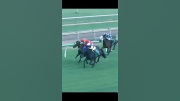 Thumbnail of Horse racing #short #dream song too good #ridden by jockey Kate​ Cowan