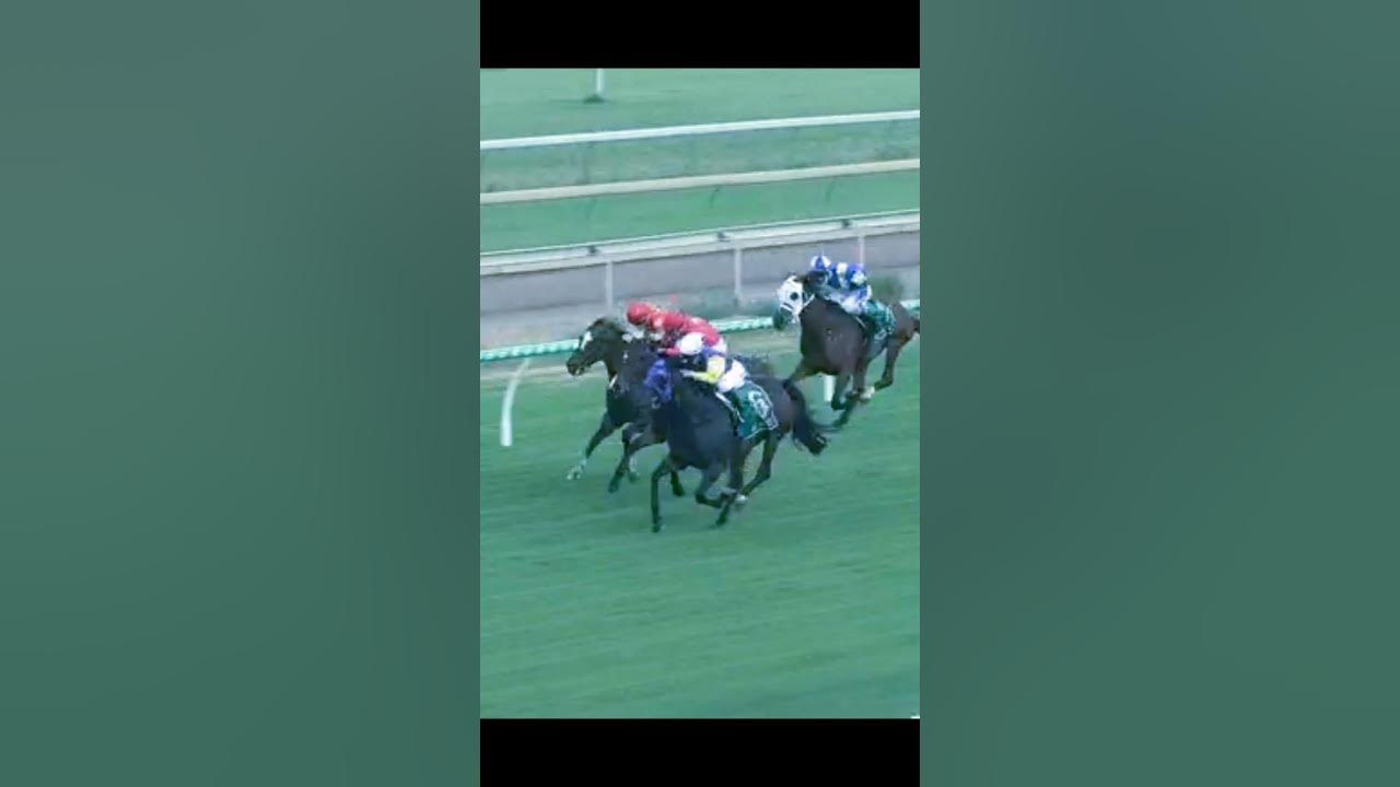 Horse racing #short #dream song too good #ridden by jockey Kate​ Cowan