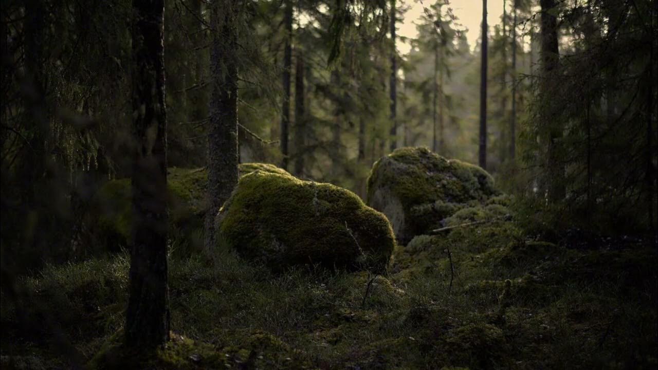 Download wallpaper 3840x2400 stream, stones, trees, logs, moss, nature 4k ultra