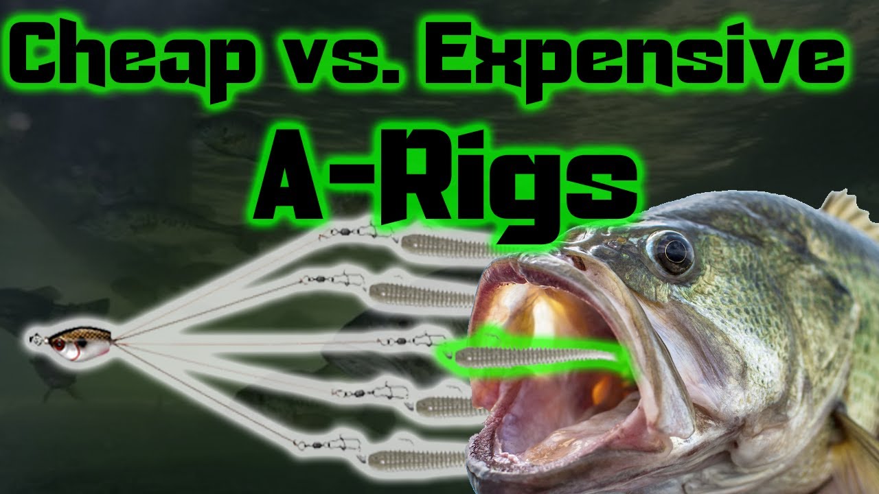 📉 Cheap vs. 📈Expensive A-Rigs (Alabama Rig, Umbrella) - inexpensive   a-rigs 