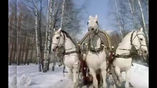 \ \
