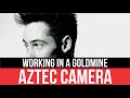 AZTEC CAMERA - Working In A Goldmine | Audio HD | Lyrics | Radio 80s Like