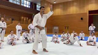 GKR Karate -Okinawa Experience 2023 - with James Pankewicz Kancho