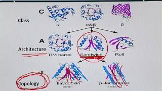 BIF401_Topic197