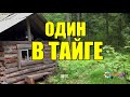 ОДИН В ТАЙГЕ  ОДИНОЧЕСТВО В ЛЕСУ  ОХОТА НА СОБОЛЯ  ПРИЁМ ПУШНИНЫ  ЖИЗНЬ ПРОЖИТА