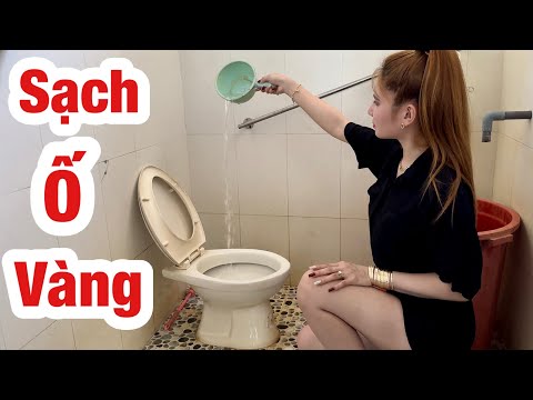 Video: Tẩy gỉ bồn cầu bằng cách nào? Phương pháp và phương tiện làm sạch nhà vệ sinh