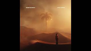 Kygo & Ava Max - Before You Know It