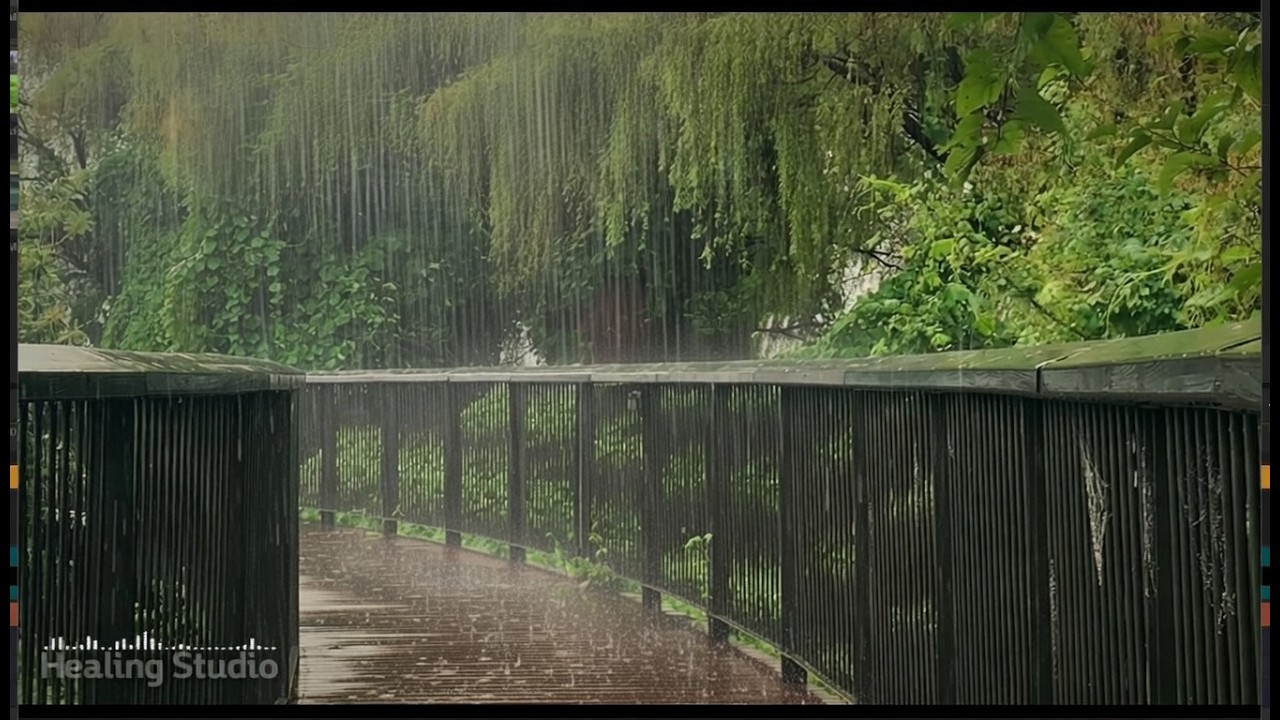폭우가 만든 편안하고 마음을 울리는 빗소리