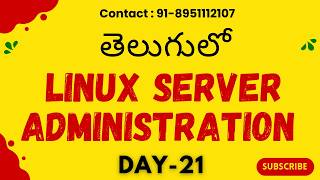 Celebrity Complete Linux Booting Procedure Explained in Detail Wealth
