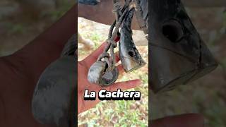 La Cachera, Herramienta Del Llanero Para Manejar El Ganado Criollo - Trabajos De Llano Parte 15
