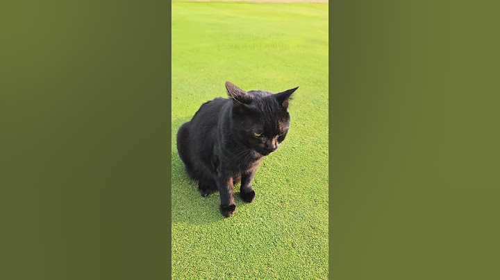 한 겨울에도 따뜻한 가을날씨 사츠마 골프&온천 리조트⛳