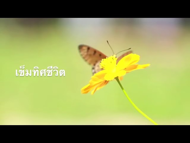 ทรานส์ เข็มทิศชีวิต Full Version |Trance relaxation| ครูอ้อย ฐิตินาถ ณ พัทลุง| เข็มทิศชีวิต|ผ่อนคลาย