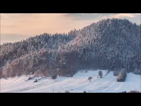 Philip G Anderson - Wilderness 1 HOUR LOOP auf YouTube ansehen Philip G Anderson - Wilderness 1 HOUR LOOP auf YouTube ansehen