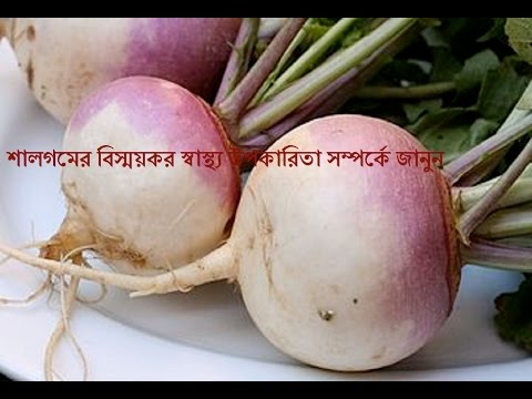 ভিডিও: রবিবার শালগমের দাম কি পরিবর্তন হবে?