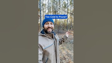 Too Cold To Prune Fruit Trees? #shorts #pruning #fruittrees #orchard #appletree #gardening #growfood