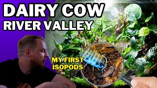 Creating a terrarium for Dairy Cow Isopods (Full unboxing and step by step tutorial)