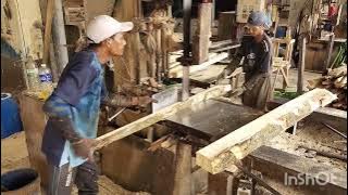 GENG SAWMIL MALAYSIA !! KAYU GETAH PUTIH MEMPESONA, #Yusufbro2078