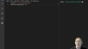 String Functions and Methods  the split method