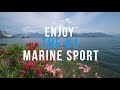 Stresa 2019 - Highlights