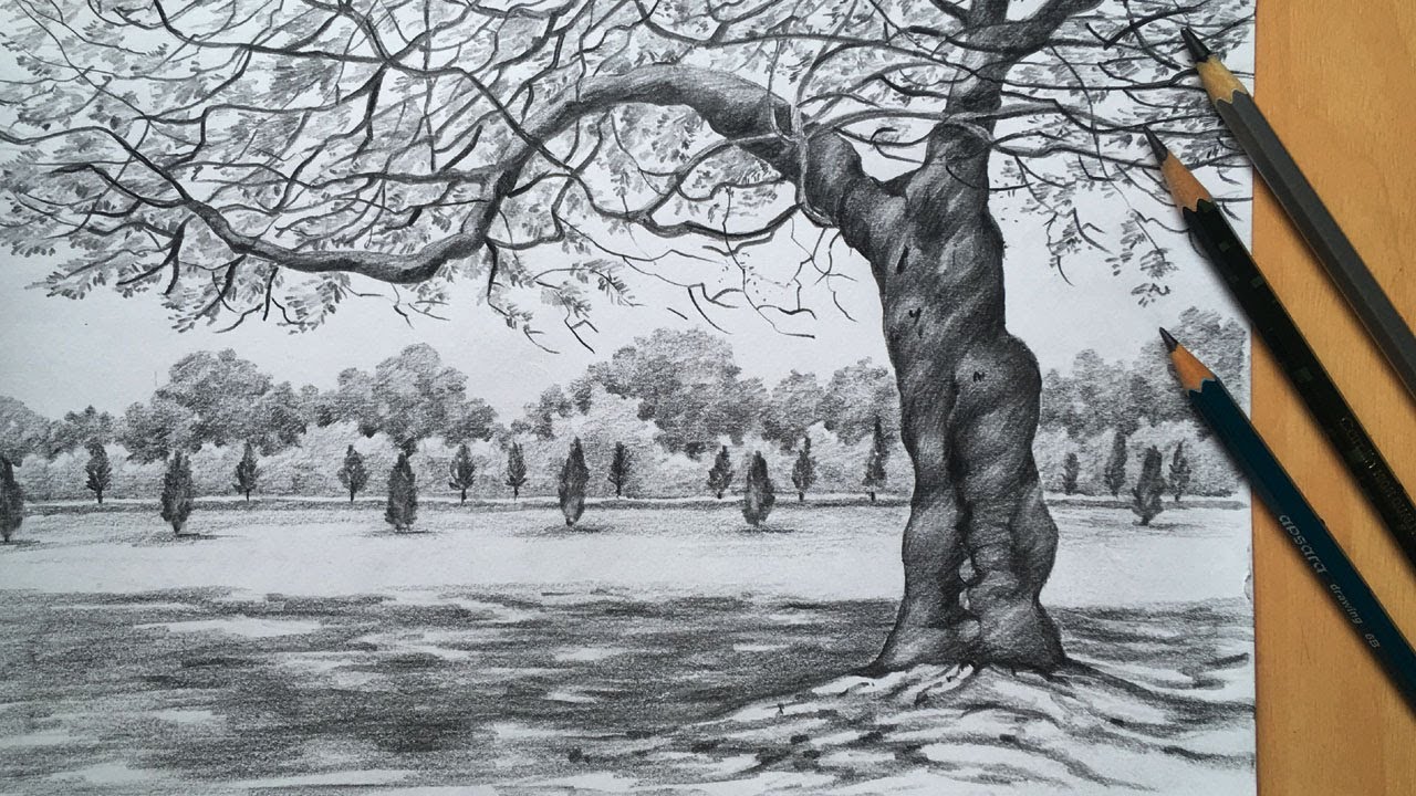 Tree Landscape Drawing Free Stock Photo  Public Domain Pictures