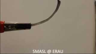 IPMC Actuator