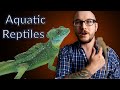 Top 5 Aquatic Reptiles The Make GREAT Pets!