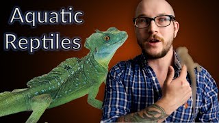 Top 5 Aquatic Reptiles That Make GREAT Pets!