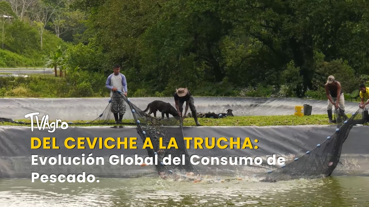 Del Ceviche a la Trucha: Evolución Global del Consumo de Pescado - TvAgro por Juan Gonzalo Angel