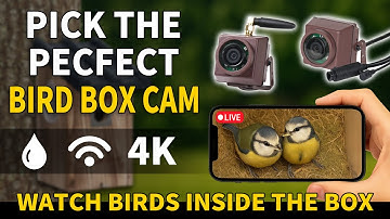 Pick a Right Camera for your Bird Box