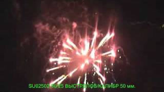 SU02502-50.avi