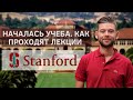 Учеба в Стенфорде он-лайн | 1 модуль | Программа Stanford Lead