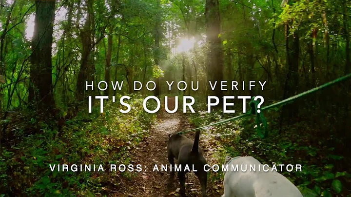 Virginia Ross: Animal Communicator