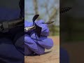 Screw Keeps Falling Simple Bit Hack #shortvideo