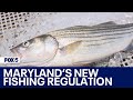 The fight over a new Maryland fishing regulation