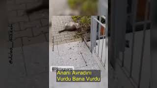Ananı Avradını Vurdu Bana Vurdu